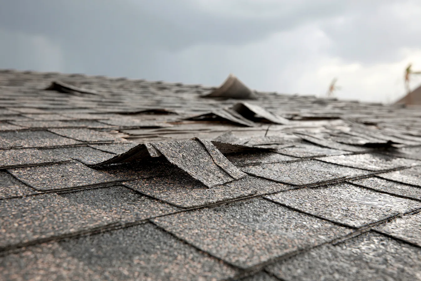 Lifted and creased asphalt shingle tabs across a roof
